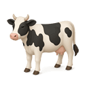 Vaca
