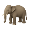 Elefante